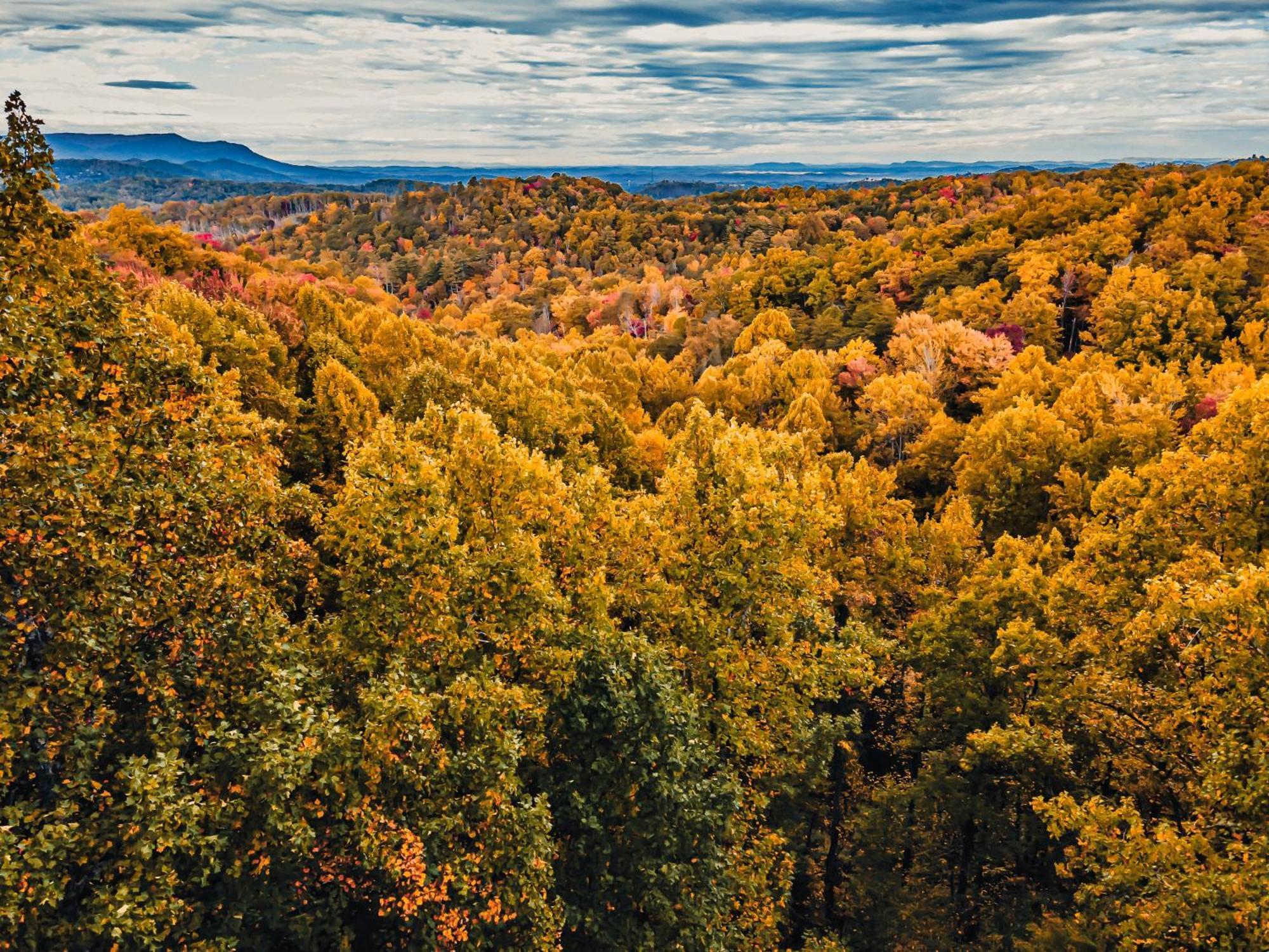 Vila Secluded Mtn View New! 10 Mins To Gatlinburg Or Park Exteriér fotografie